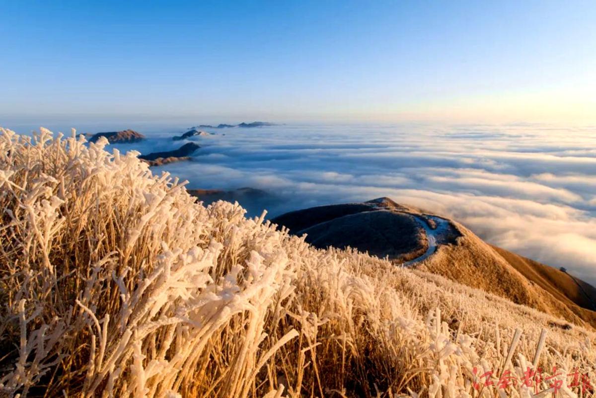 萍鄉(xiāng)武功山：霧凇云海，銀裝素裹